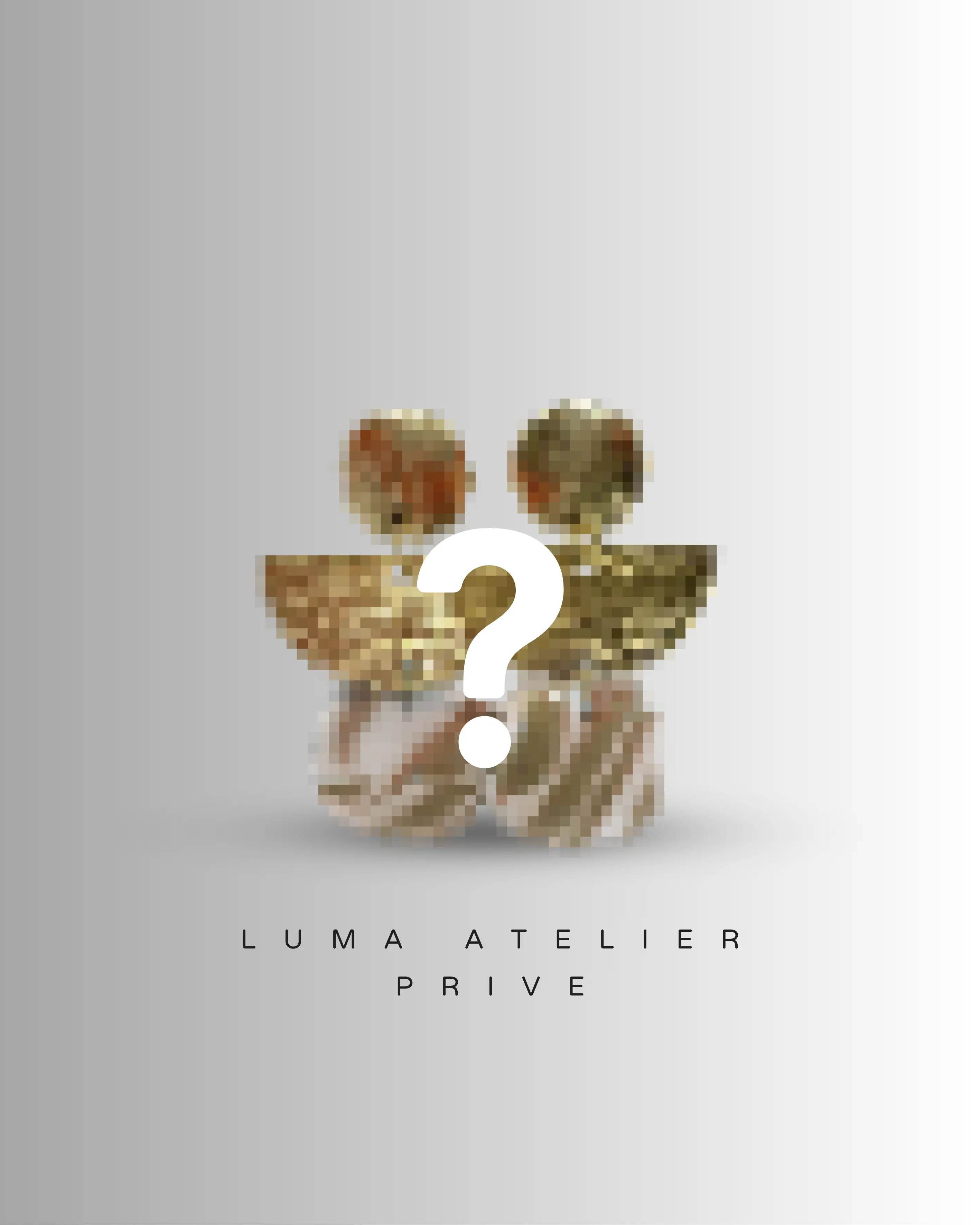 Luma Atelier Privé - Gepersonaliseerde statement oorbellen Luma Jewellery